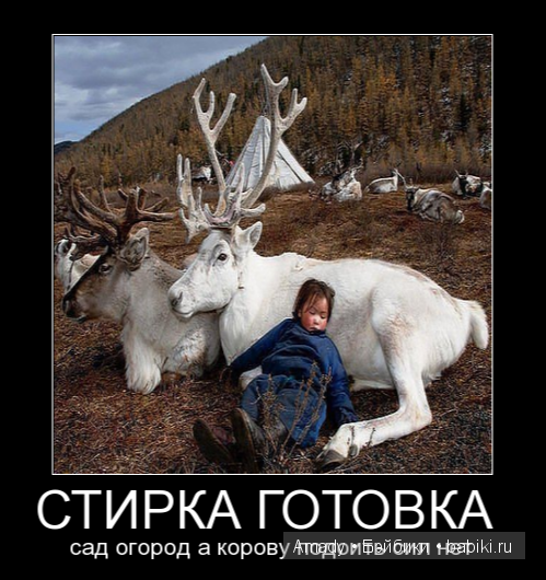 Международный женский день