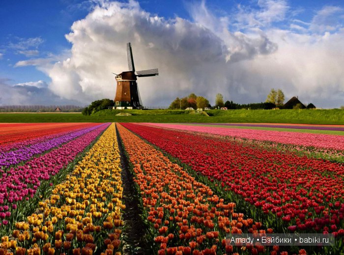 По следам конкурса "Мальчик с девочкой дружил"