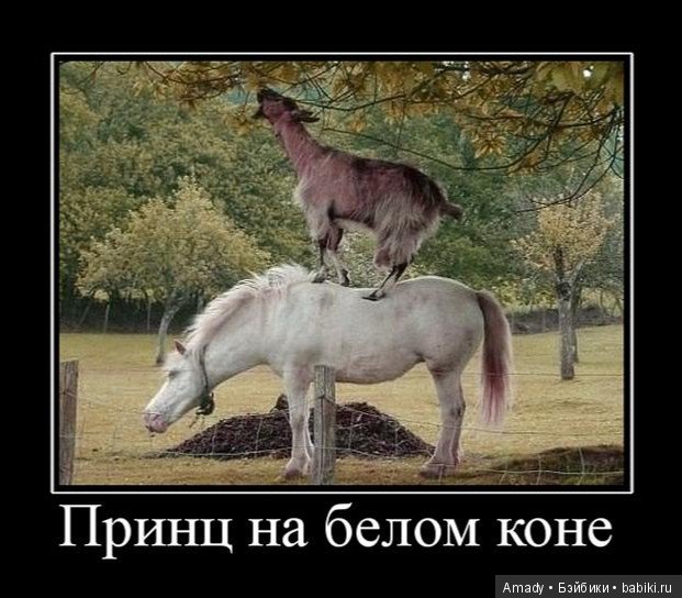 По следам конкурса: "Самое смешное фото с куклой"