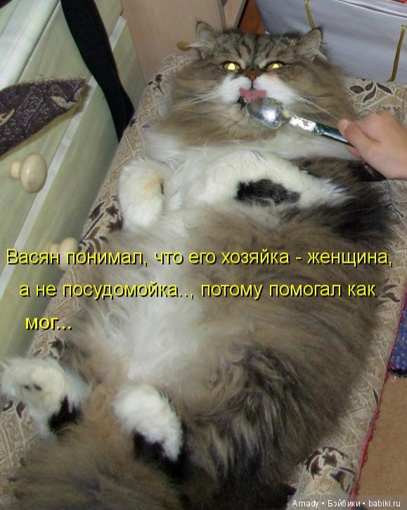 По следам конкурса: "Самое смешное фото с куклой"