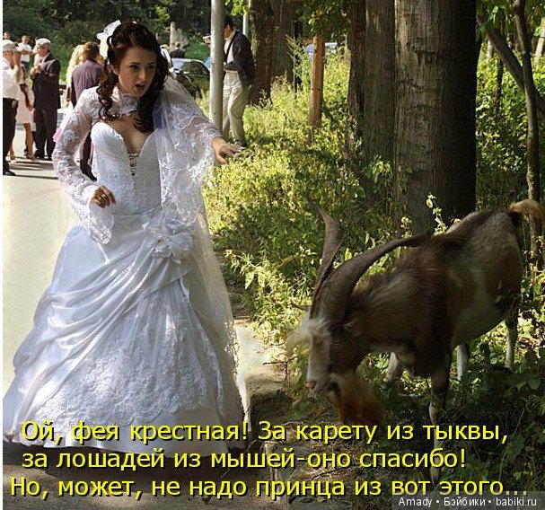По следам конкурса: "Самое смешное фото с куклой"