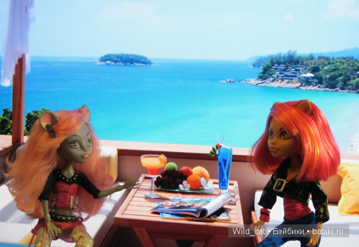 Монстрики в отпуске — Куклы Monster High и Ever After High: G1 (фото 4)