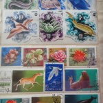 Хобби родом из детства