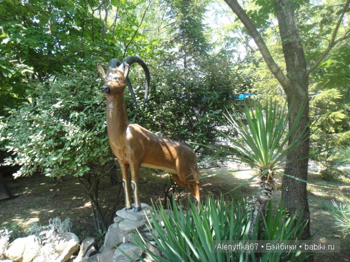 В Ботаническом саду | Бэйбики В Ботаническом саду — Болталка и разговоры обо всем: жизнь (фото 7)