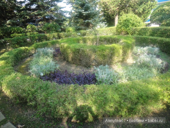 В Ботаническом саду | Бэйбики В Ботаническом саду — Болталка и разговоры обо всем: жизнь