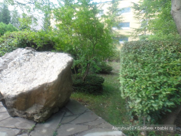 В Ботаническом саду | Бэйбики В Ботаническом саду — Болталка и разговоры обо всем: жизнь (фото 4)