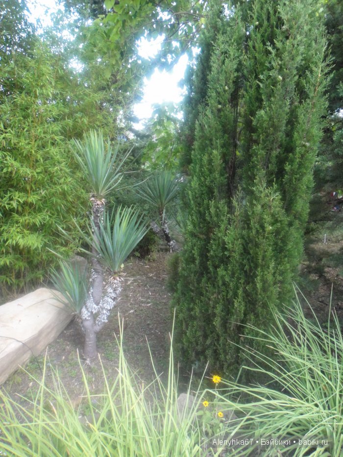 В Ботаническом саду | Бэйбики В Ботаническом саду — Болталка и разговоры обо всем: жизнь