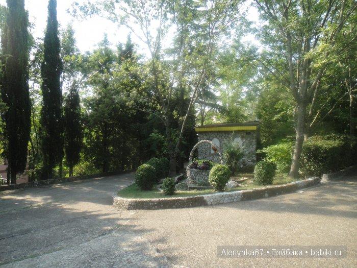 В Ботаническом саду — Болталка и разговоры обо всем: жизнь