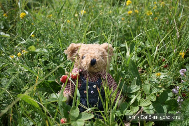 Земляничное приключение мишек Тедди