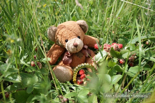 Мишка из Германии