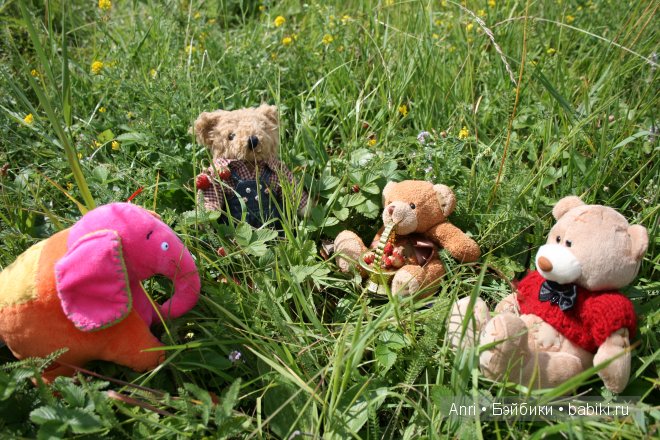слоник от Анны, мишка Тедди, медвежата от Ми ту ю
