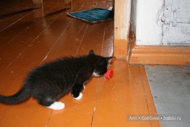 кубик 76 года