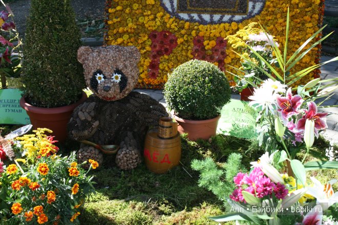 День цветов на пороге осени (фото 3)