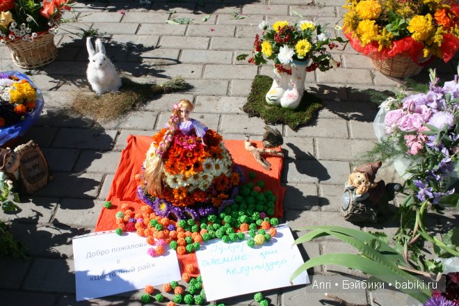 День цветов на пороге осени (фото 6)