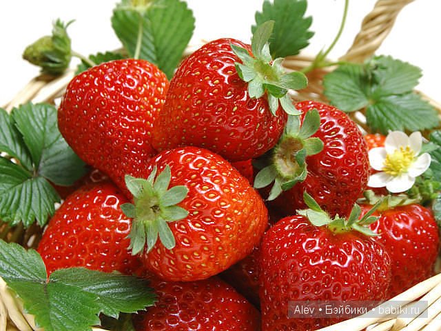 Вкусный топик! Куклы Адора