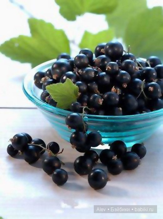 Вкусный топик! Куклы Адора (фото 8)