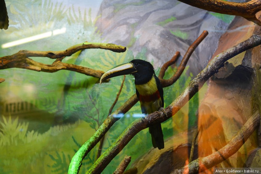 Один день в Туле — Туризм и путешествия: фотоотчеты из поездок (фото 3)