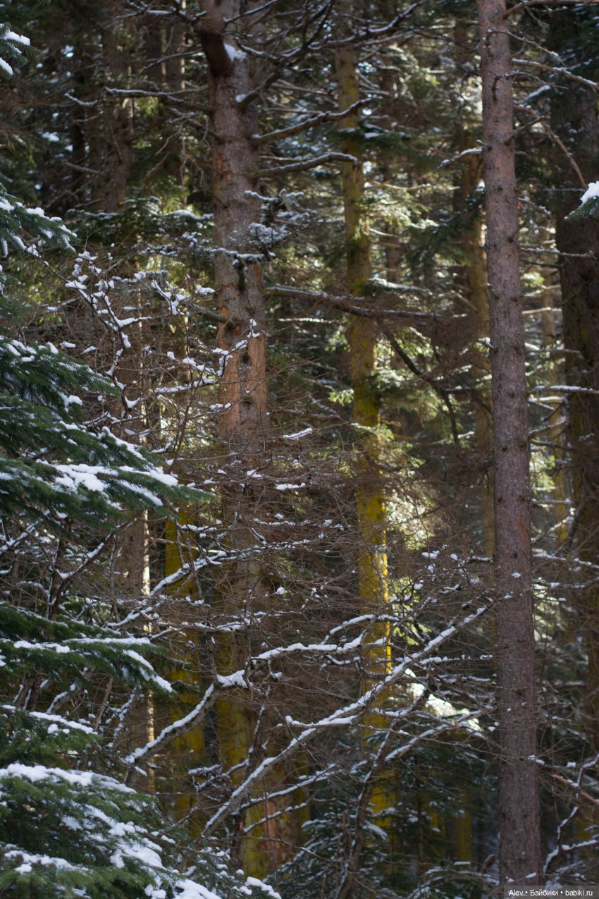 Сказочные горы + экстрим — Туризм и путешествия: фотоотчеты из поездок
