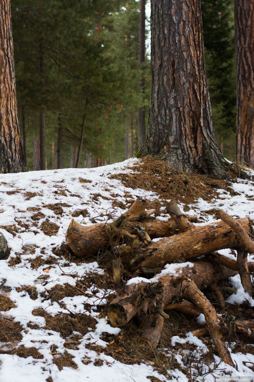 Сказочные горы + экстрим — Туризм и путешествия: фотоотчеты из поездок