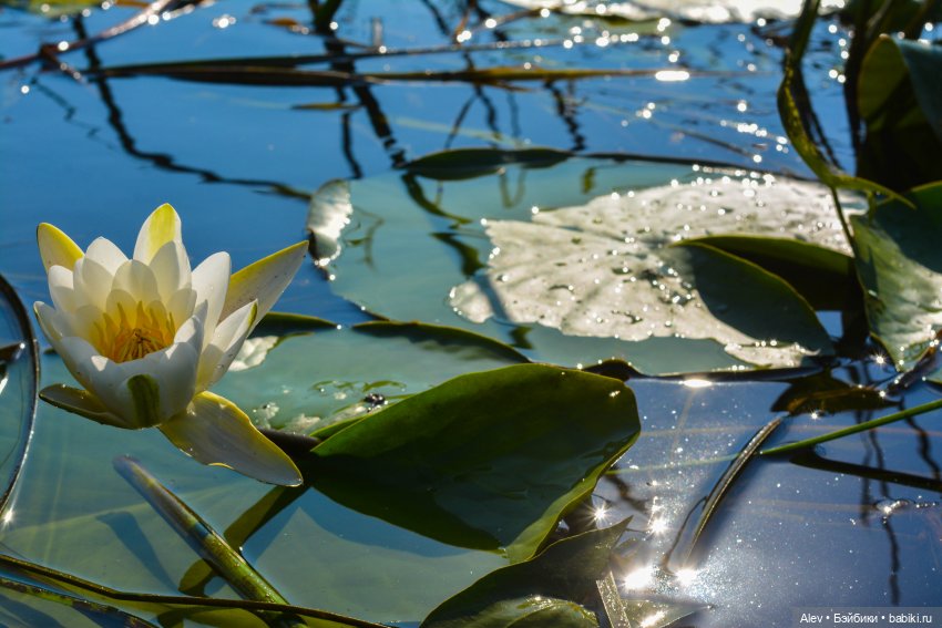 Движение - это жизнь — Туризм и путешествия: фотоотчеты из поездок