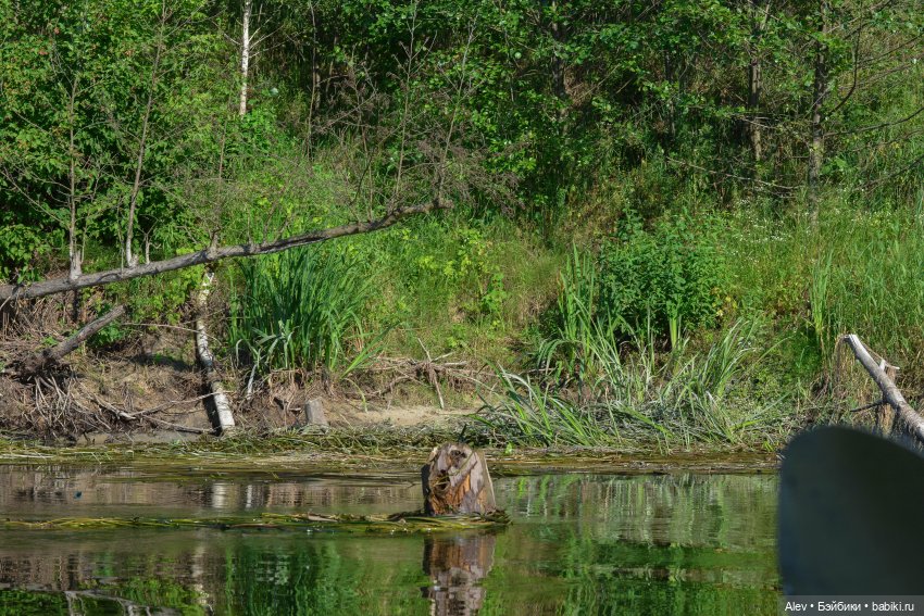 Движение - это жизнь — Туризм и путешествия: фотоотчеты из поездок