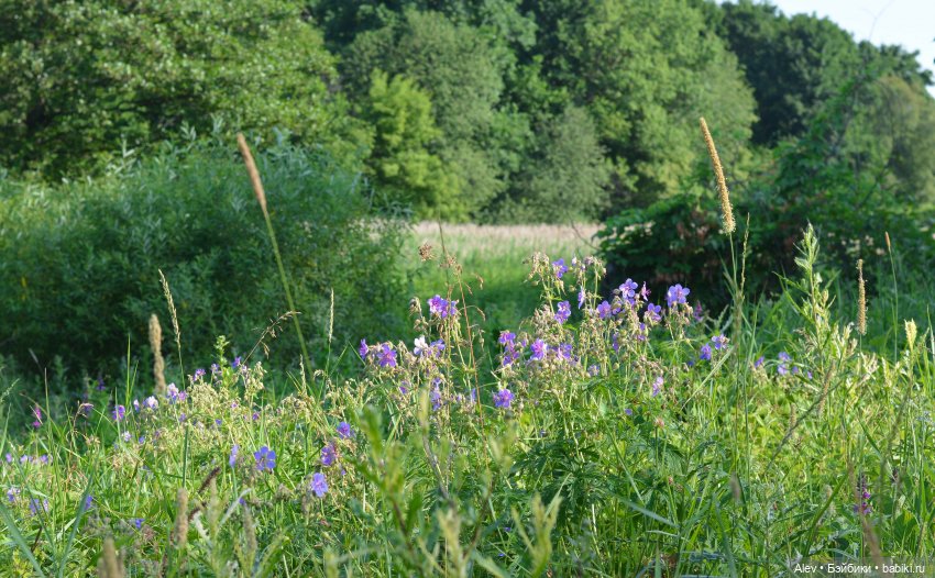 Движение - это жизнь — Туризм и путешествия: фотоотчеты из поездок (фото 6)
