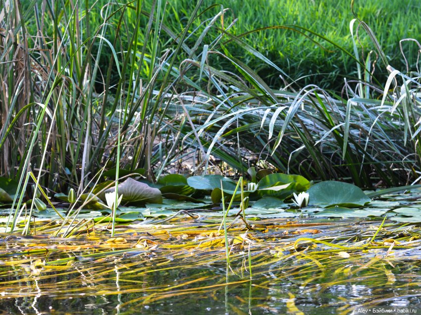 Движение - это жизнь — Туризм и путешествия: фотоотчеты из поездок