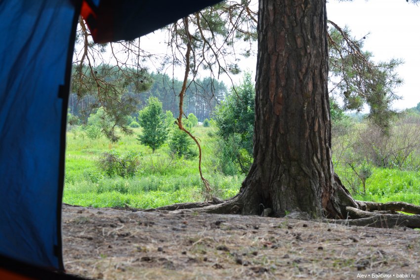 Движение - это жизнь — Туризм и путешествия: фотоотчеты из поездок