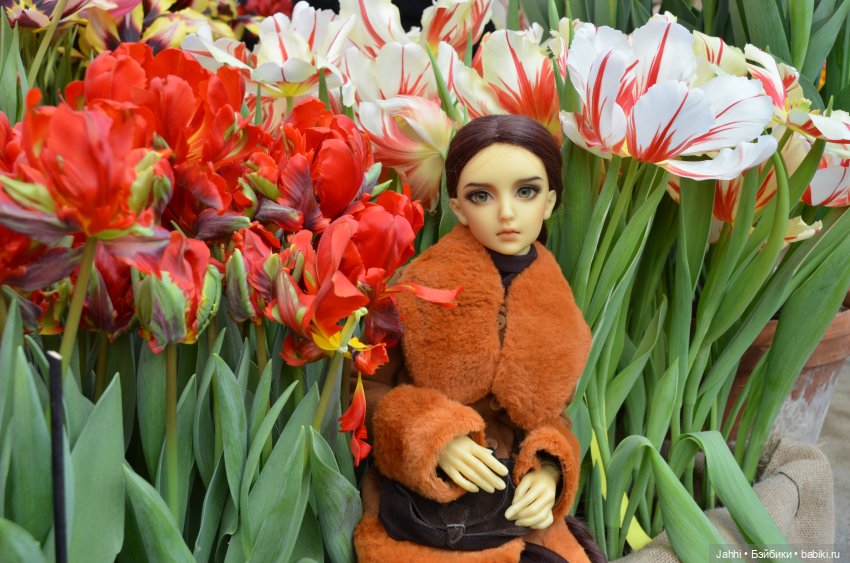 Прогулка с БЖД по Аптекарскому огороду на Репетиции весны