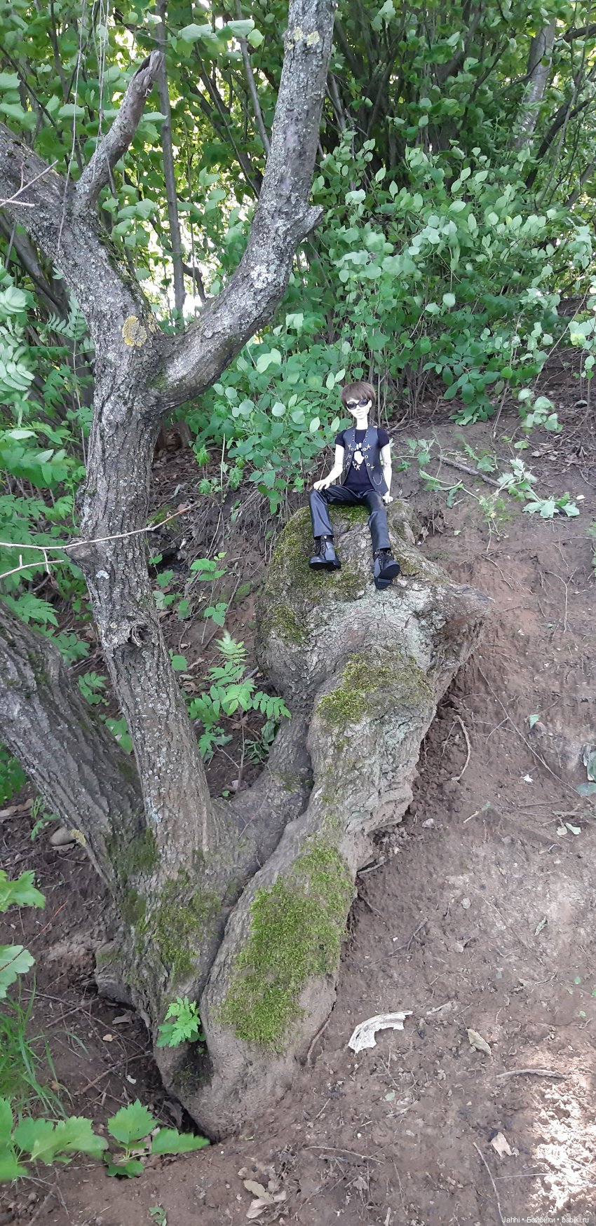 Александр, Санечка, Санни, Солнышко