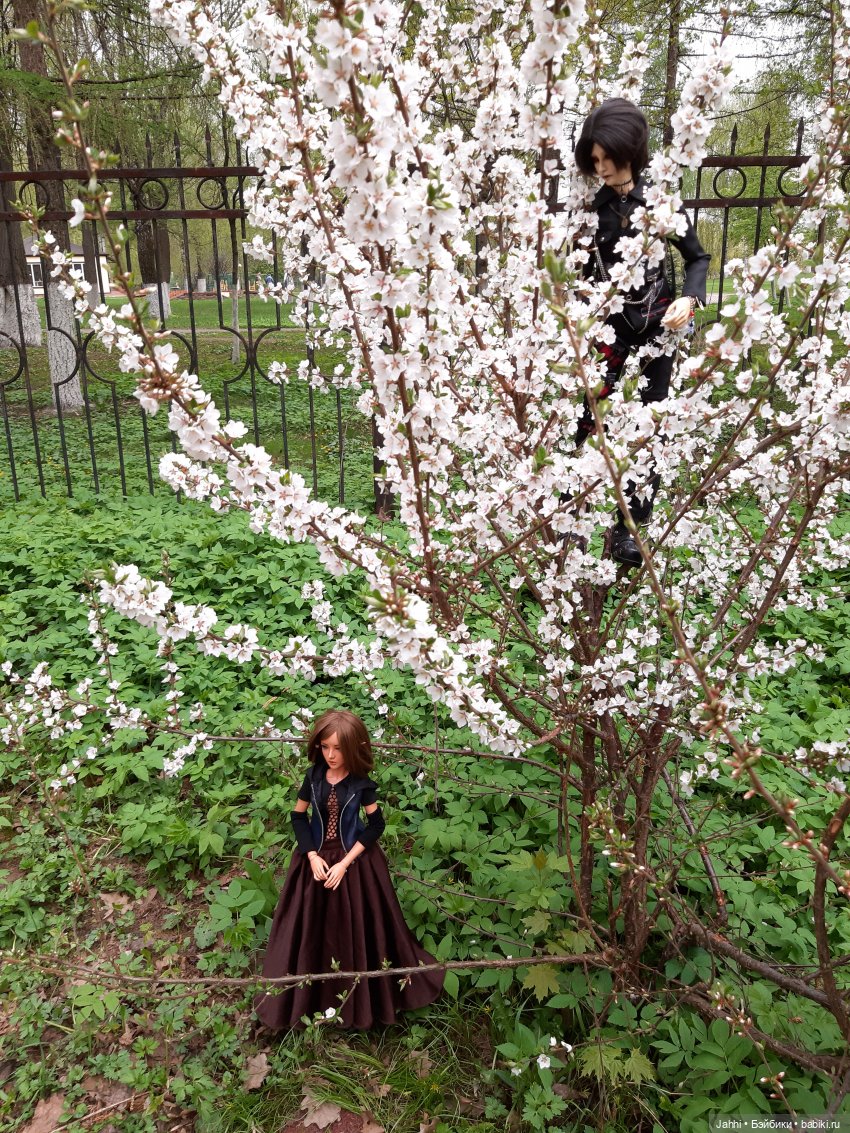 Кира демон — Фотоистории с куклами BJD (БЖД): сериалы