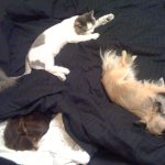 Учимся крепко спать....