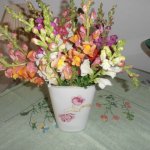 История про то,как я нашла друга в далёкой Англии.....