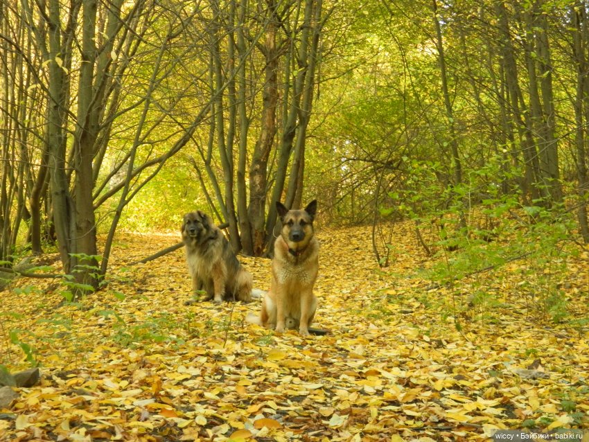 Старые фотосессии, часть 2