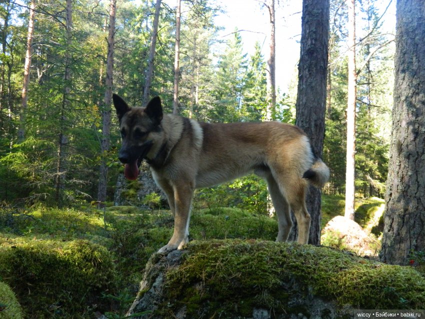 Старые фотосессии, часть 2