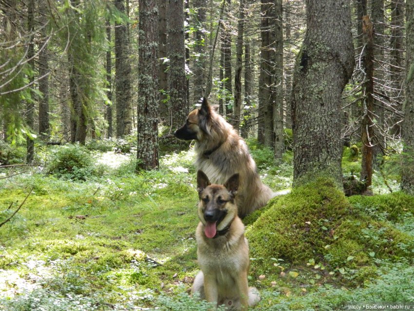 Старые фотосессии, часть 2