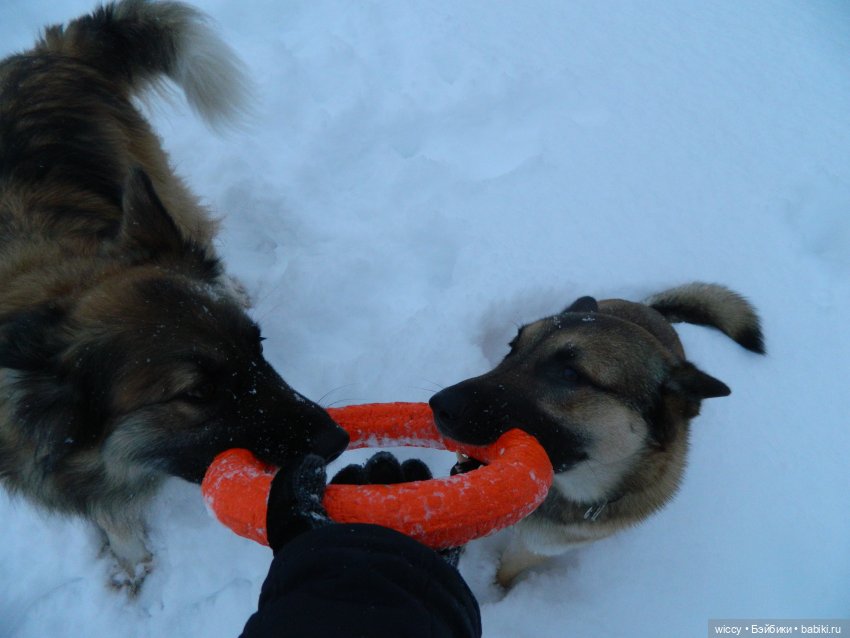 Старые фотосессии, часть 2