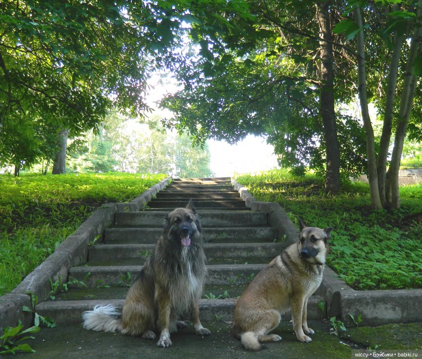 Старые фотосессии, часть 1 (фото 2)