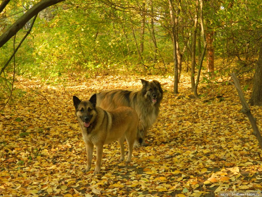Старые фотосессии, часть 2