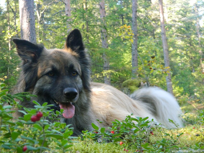Старые фотосессии, часть 2