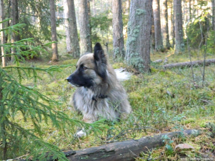 Старые фотосессии, часть 2