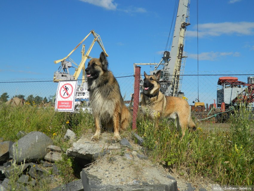 Старые фотосессии, часть 2