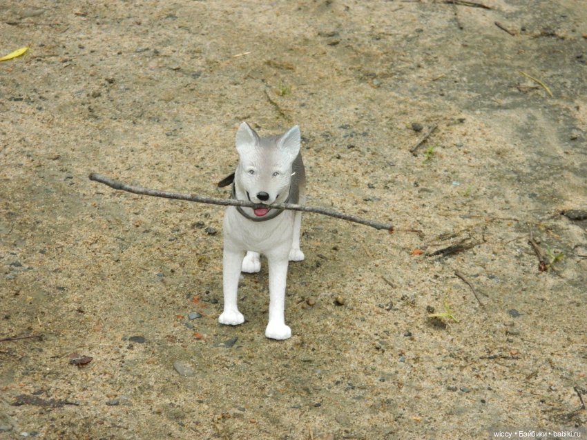 Старые фотосессии, часть 2 (фото 8)