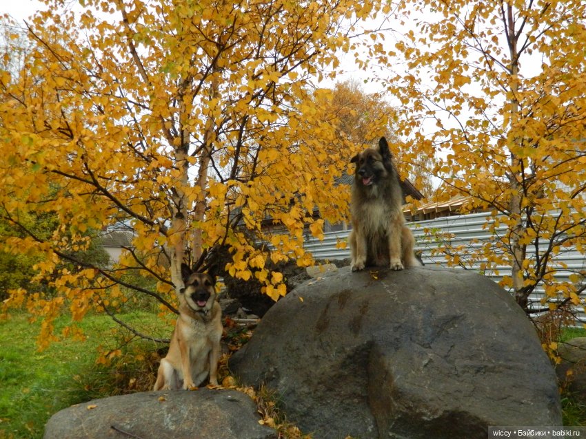 Старые фотосессии, часть 2