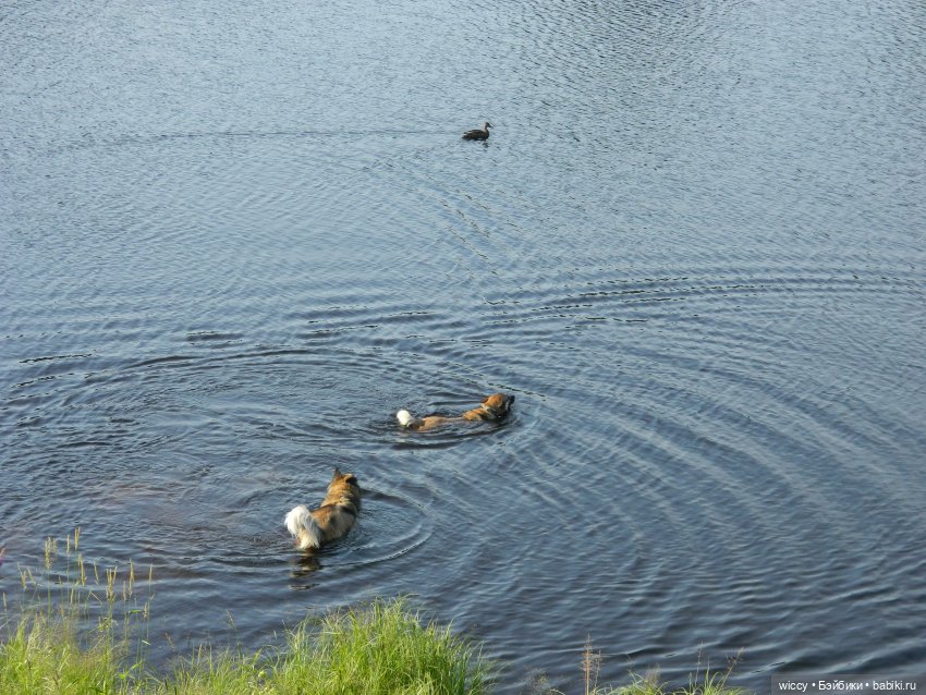 Старые фотосессии, часть 2