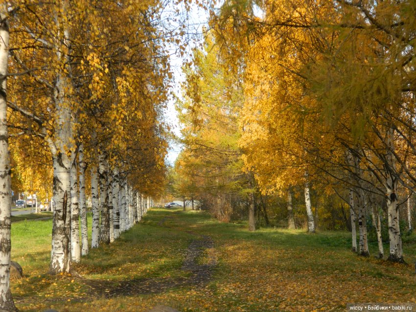 Старые фотосессии, часть 5 (фото 3)