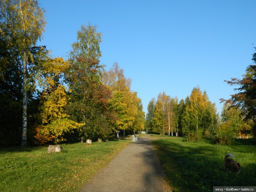 Старые фотосессии, часть 5 (фото 9)