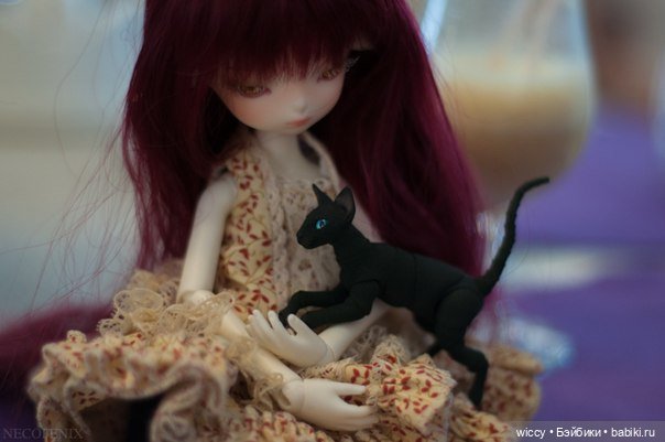 Моя коллекция котиков — Коллекции игровых кукол (Playline): фото полок (фото 4)