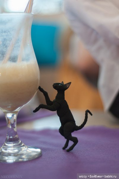 Моя коллекция котиков — Коллекции игровых кукол (Playline): фото полок (фото 5)