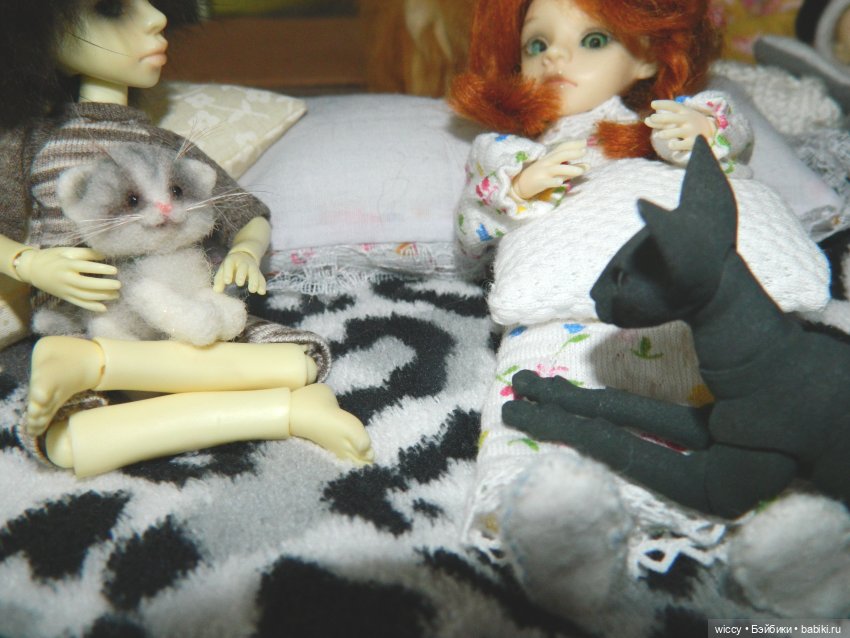 Моя коллекция котиков — Коллекции игровых кукол (Playline): фото полок